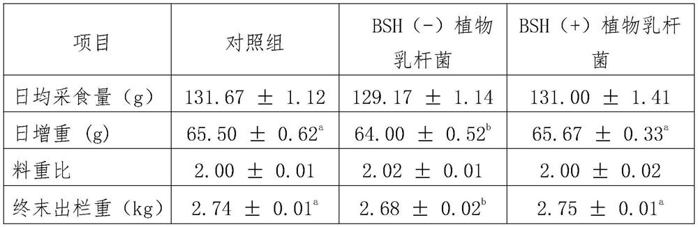 Lactobacillus plantarum for improving lipid metabolism and muscle quality of meat poultry and application of lactobacillus plantarum