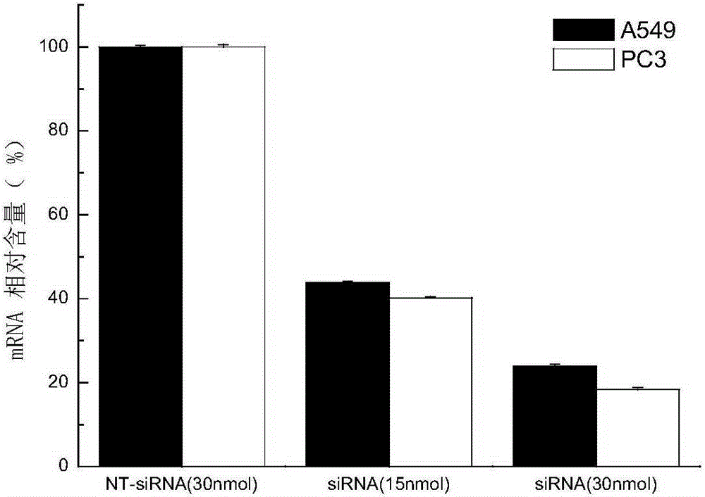 Double-strand siRNA inhibiting survivin gene expression, application thereof and expression plasmid and transfersome containing same