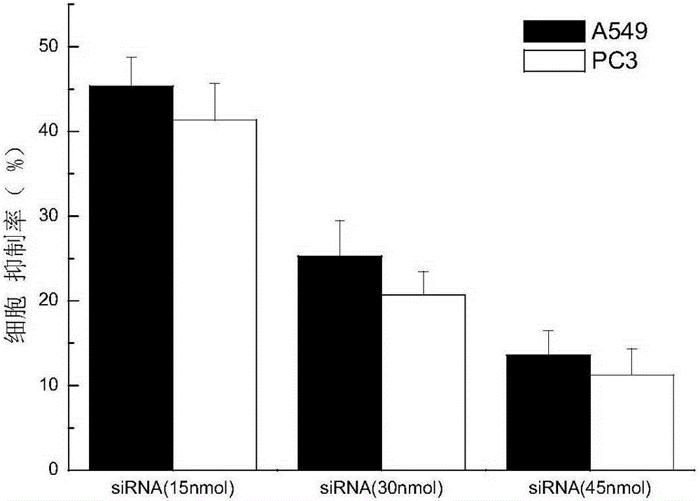 Double-strand siRNA inhibiting survivin gene expression, application thereof and expression plasmid and transfersome containing same