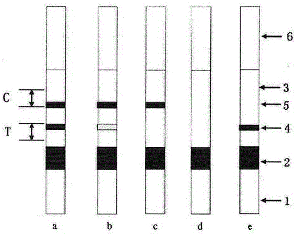 SAA (serum amyloid A) immunochromatographic test strip and preparation method and test method thereof