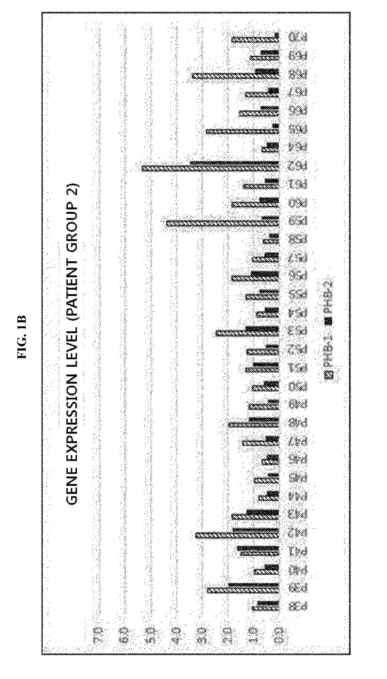 Leukemia diagnostic kit targeting prohibitin gene and diagnostic method using same