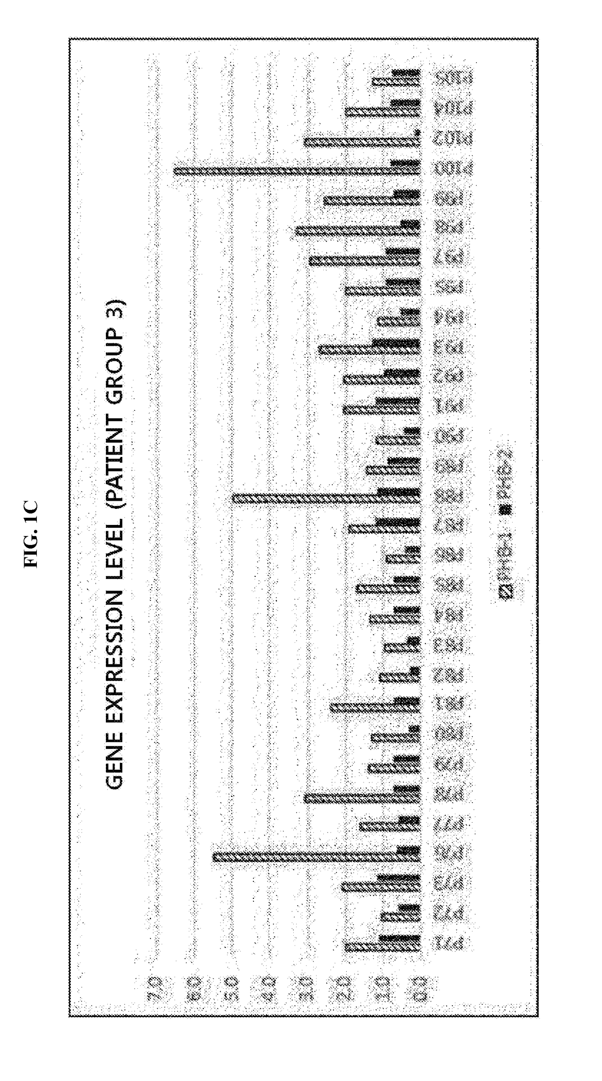 Leukemia diagnostic kit targeting prohibitin gene and diagnostic method using same