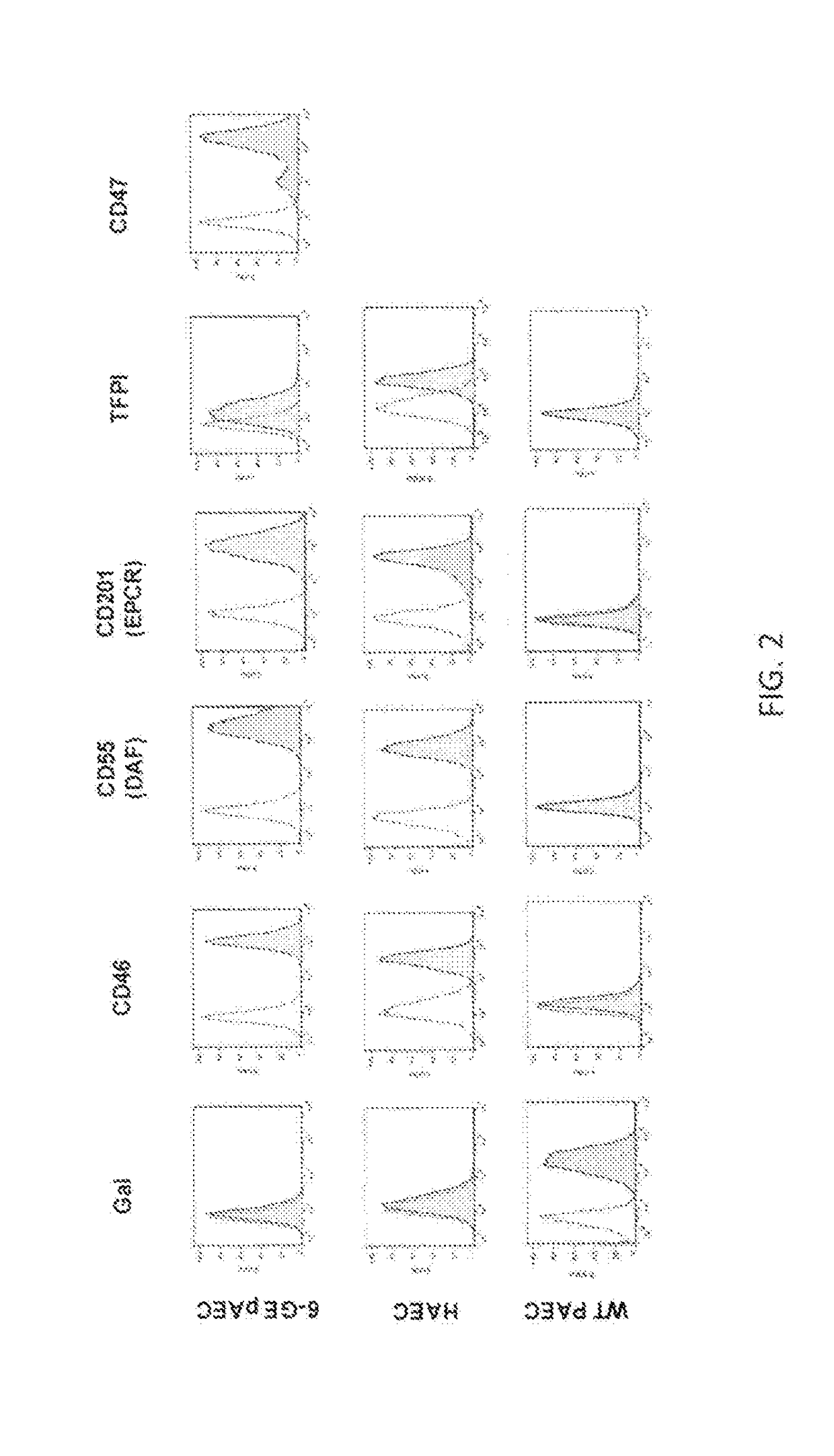 Multi-Transgenic Pig for Xenotransplantation