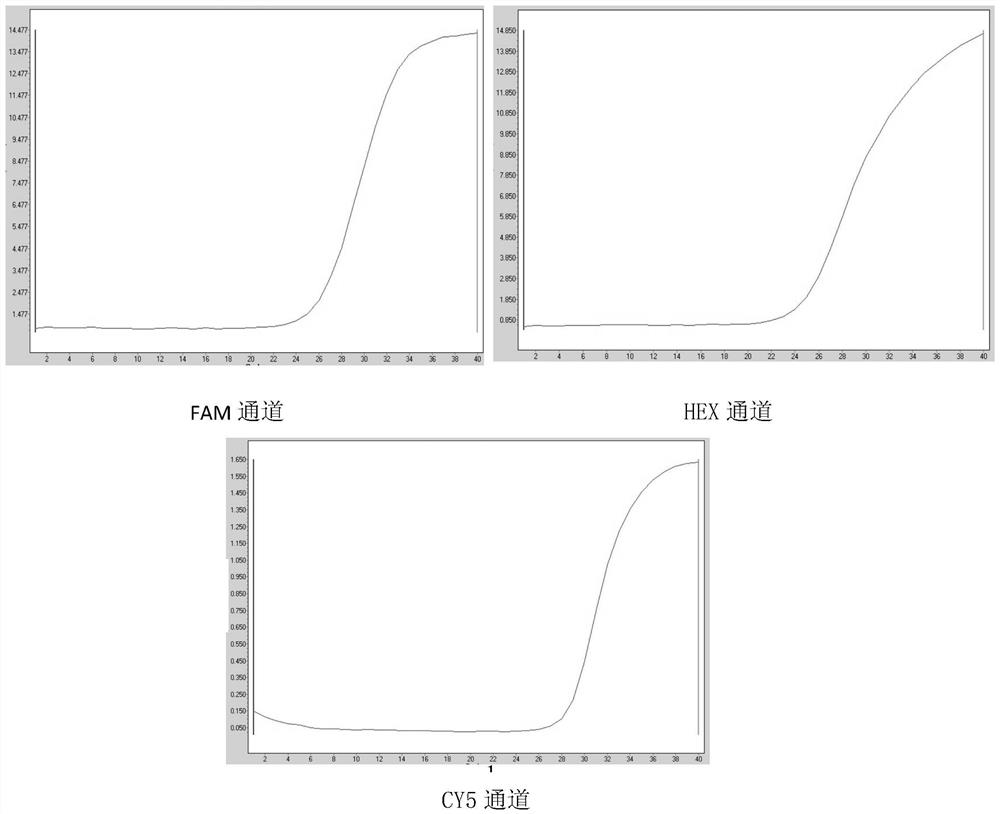 Triple real-time fluorescent RT-PCR primer, probe and detection method for detecting novel coronavirus