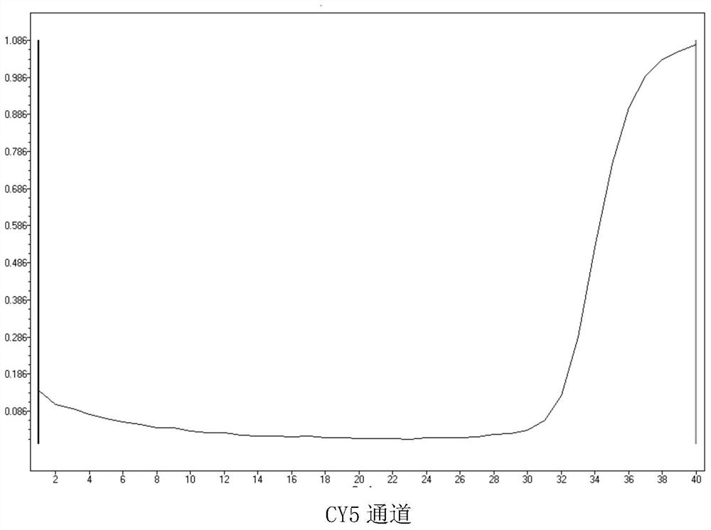 Triple real-time fluorescent RT-PCR primer, probe and detection method for detecting novel coronavirus