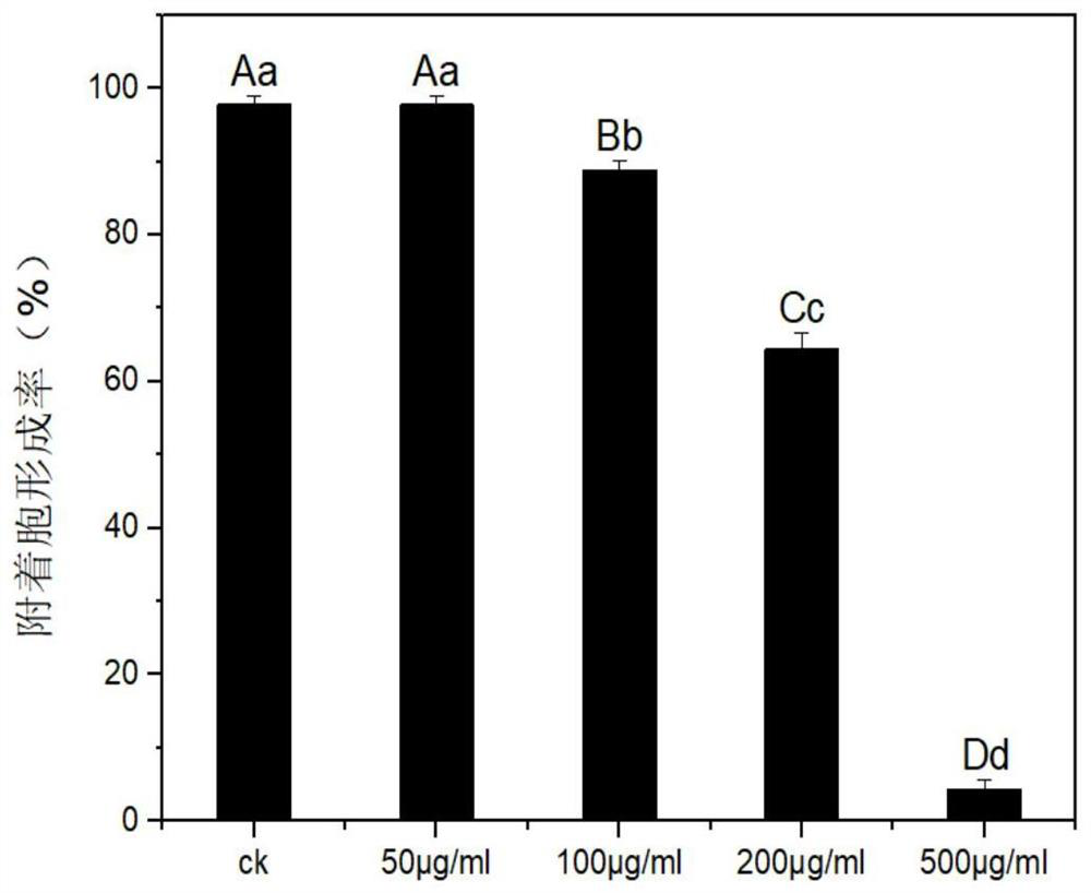 A kind of Rhodopseudomonas palustris atps2 protein and its preparation method and application