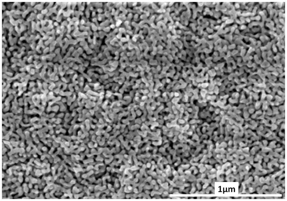 Composite electrode and preparation method and application thereof