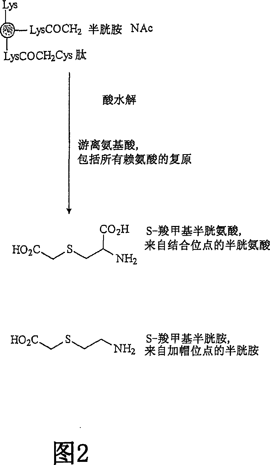 Immunogenic peptide carrier conjugates and methods of producing same