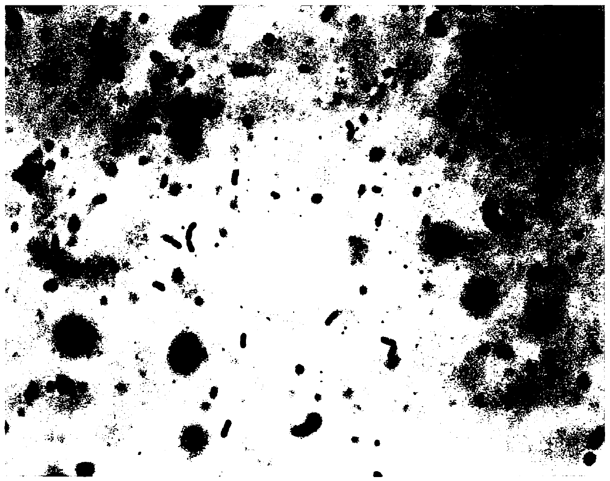 A kind of lactobacillus plantarum and application thereof