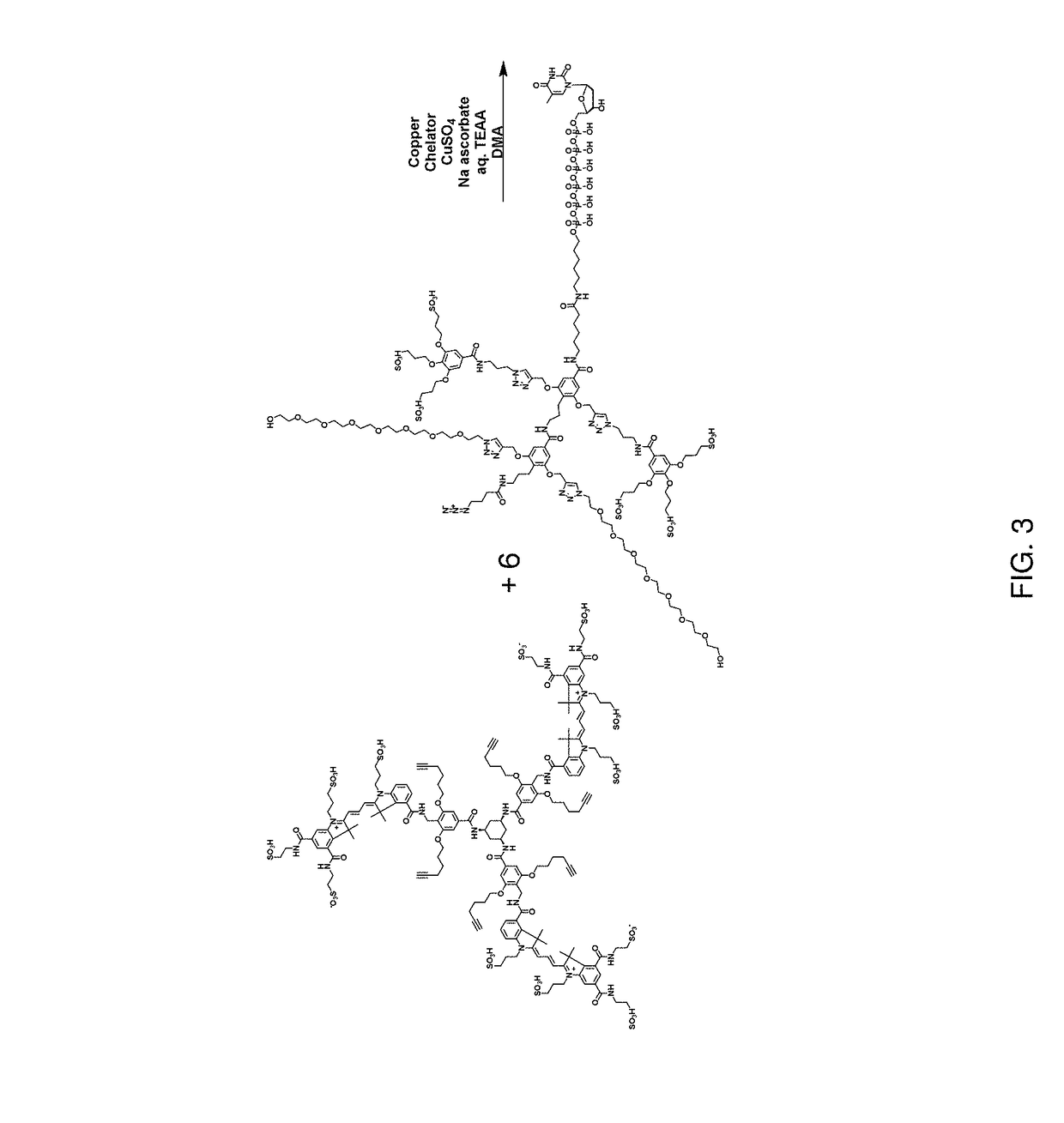 Multimeric protected fluorescent reagents