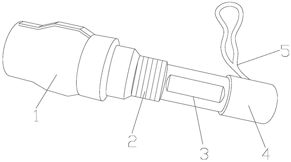 A contact-free egg freshness detection device using elasticity