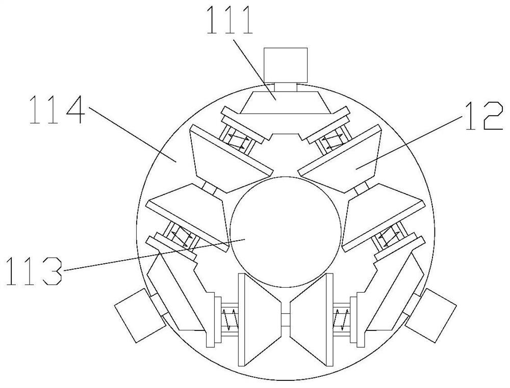 A contact-free egg freshness detection device using elasticity