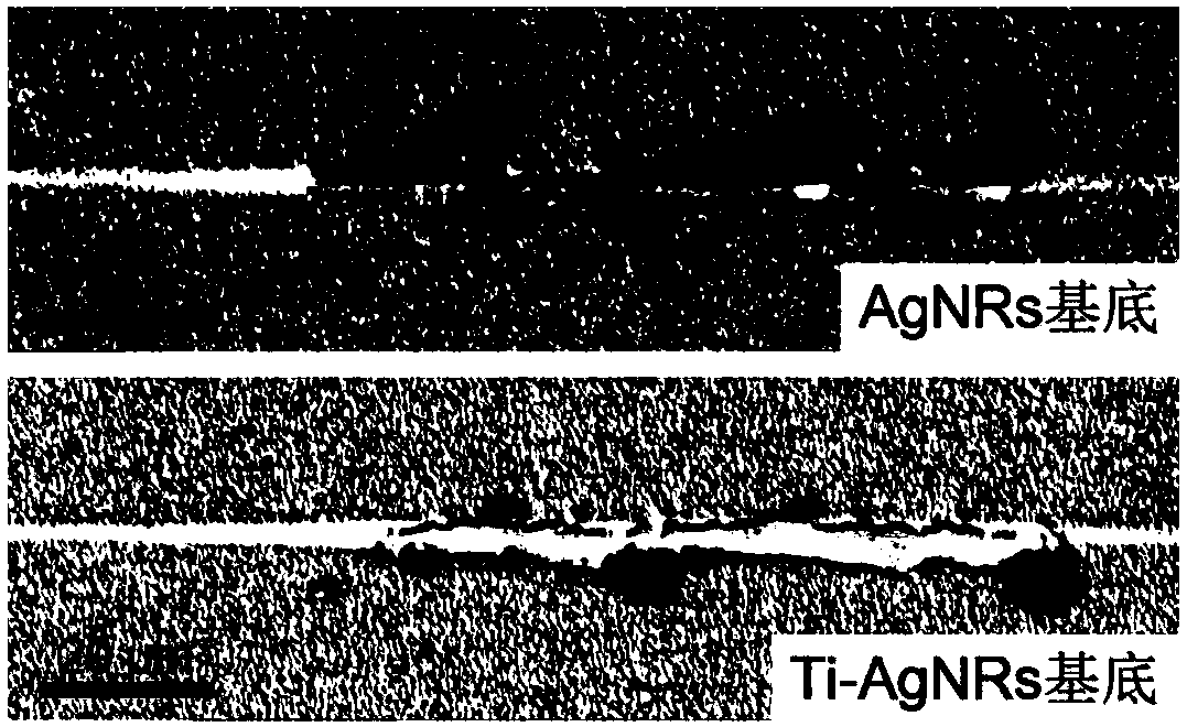 Method for preparing surface-enhanced Raman substrate by improving film-substrate bonding force