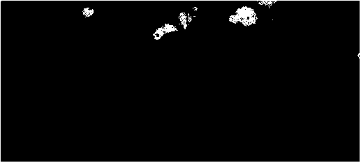 Radioactive concentrated liquor solidifying formula