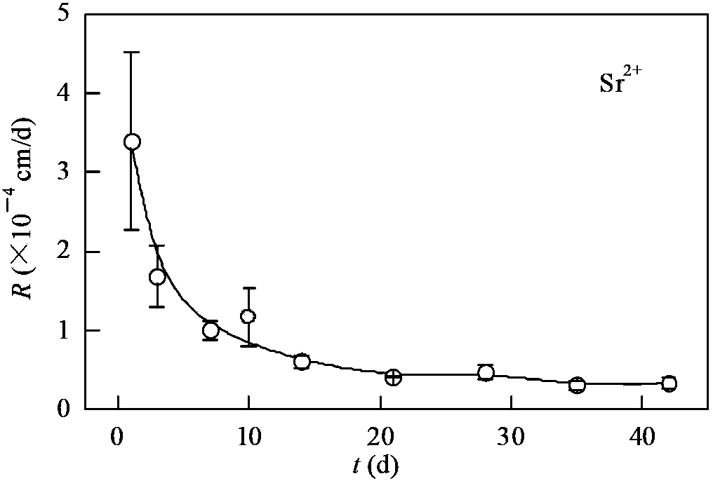 Radioactive concentrated liquor solidifying formula