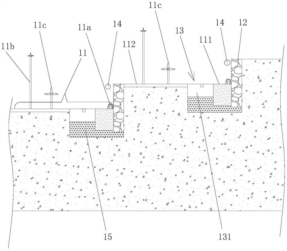 A kind of interplanting method of selenium-enriched tea leaves