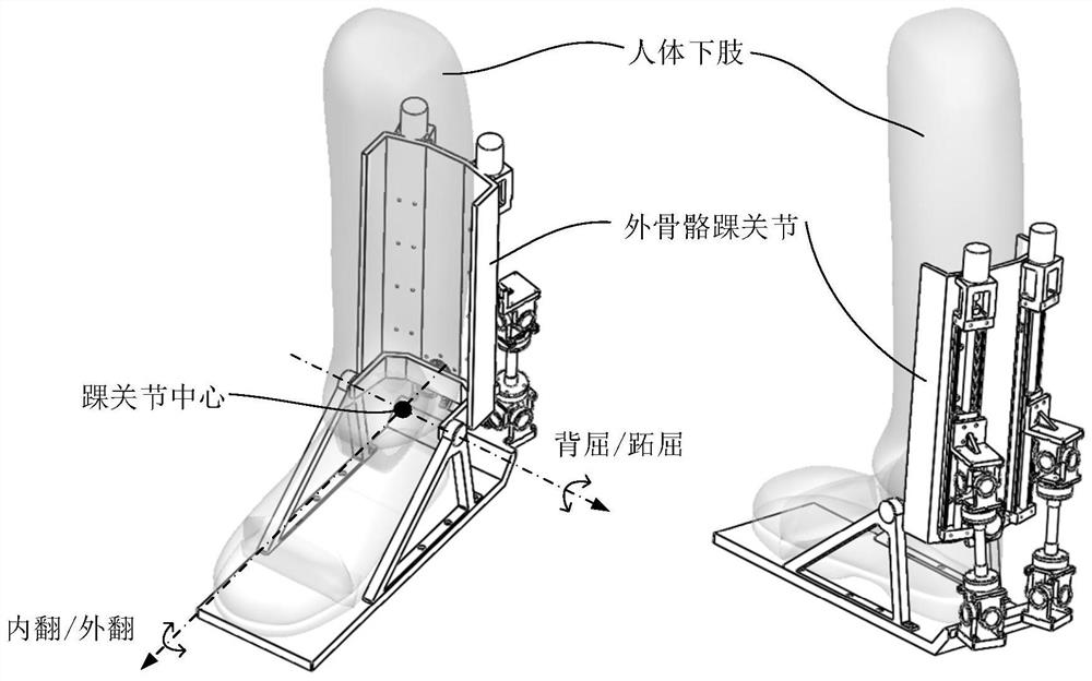 Exoskeleton robot ankle joint with double flexible driving branches