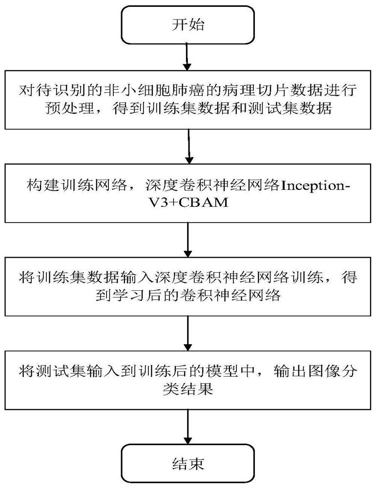 Non-small cell lung cancer pathological section identification method based on deep convolutional neural network