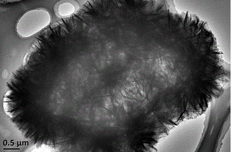 ZSM-35 molecular sieve in the form of hollow aggregation and preparation method thereof