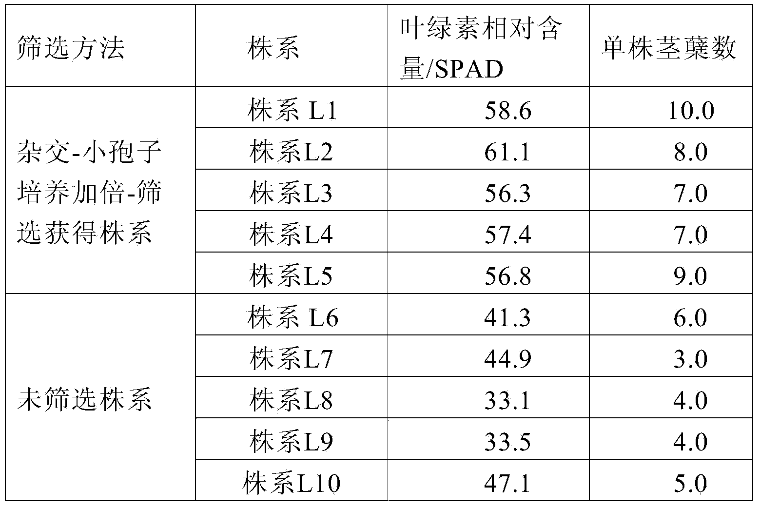 Complex breeding method of high-chlorophyll multi-tiller barley