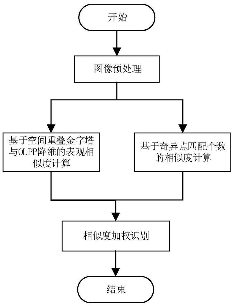 Finger vein recognition method combining apparent similarity and singular point matching number