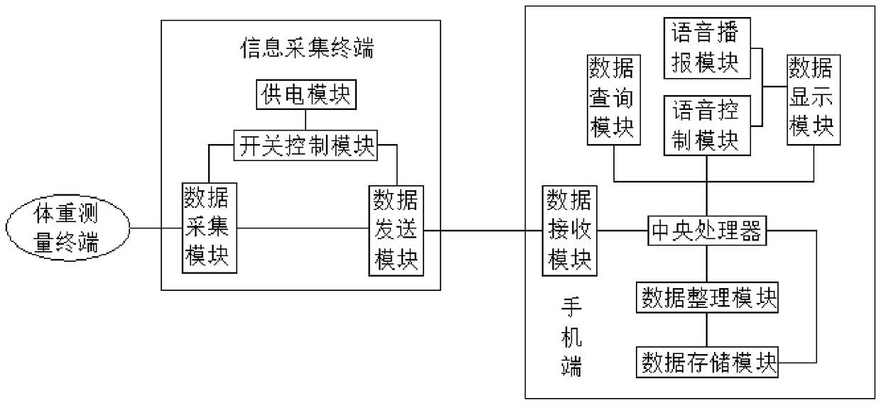 Mobile phone display system capable of monitoring weight loss in real time