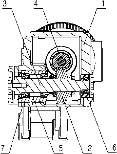 Worm gear