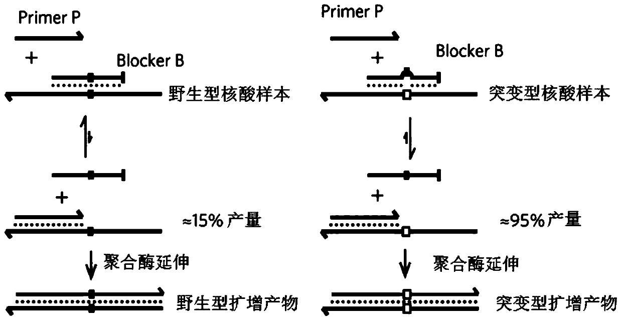 Method for carrying out blocking, substitution, amplification, enrichment and detection on target mutation based on blocker introducing extra base mismatch