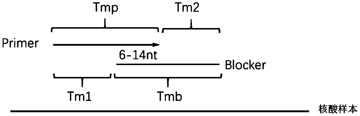 Method for carrying out blocking, substitution, amplification, enrichment and detection on target mutation based on blocker introducing extra base mismatch