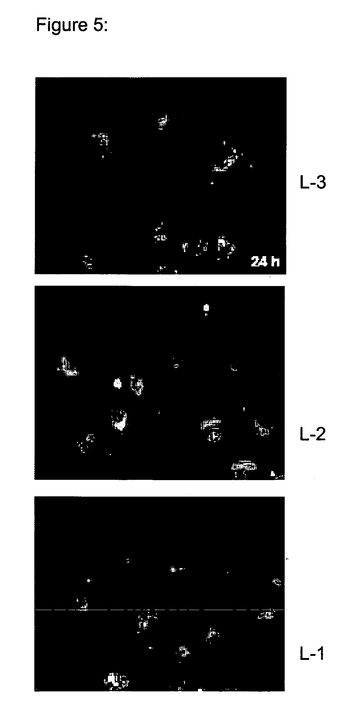 Lipids and lipid assemblies comprising transfection enhancer elements