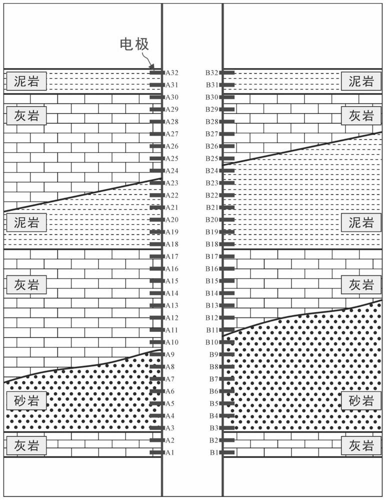 Device, system and method for detecting geological storage state of carbon dioxide in real time