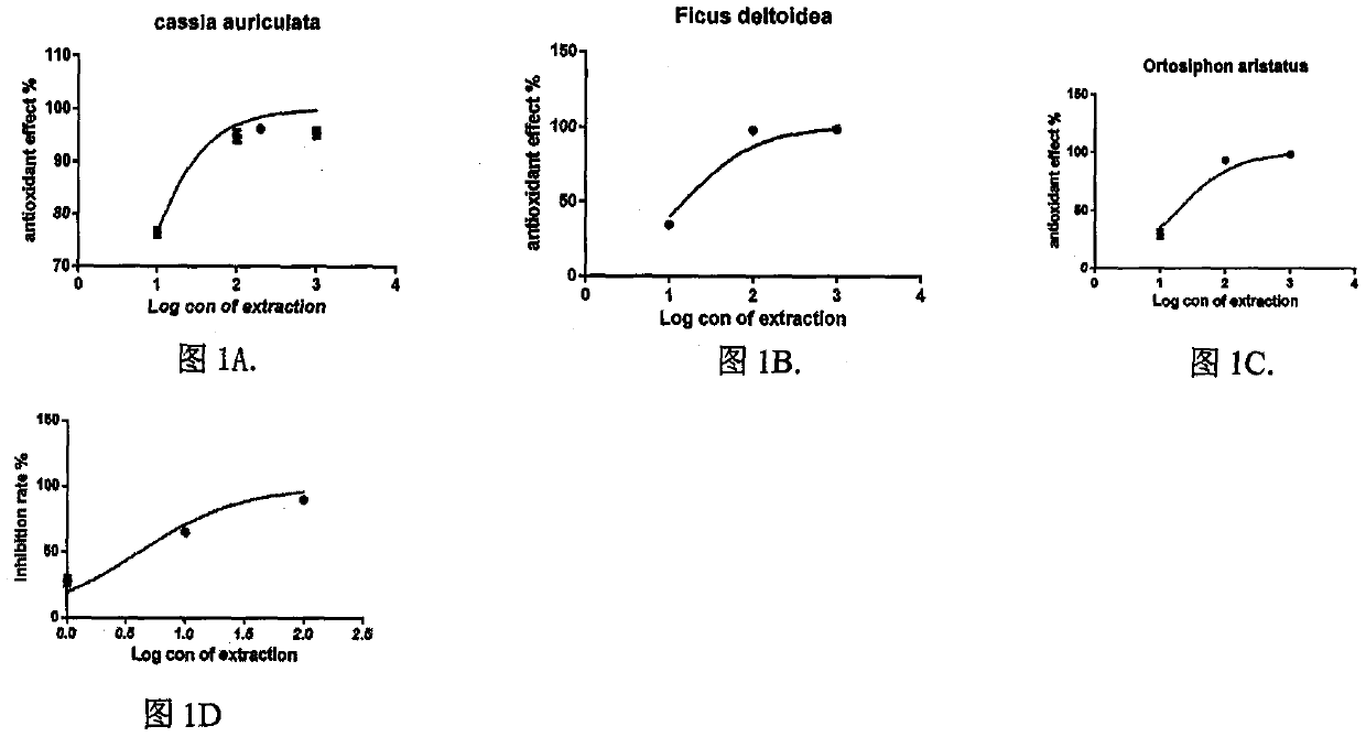 Preparation and Application of Southeast Asian Herbal Medicine Combination Extract