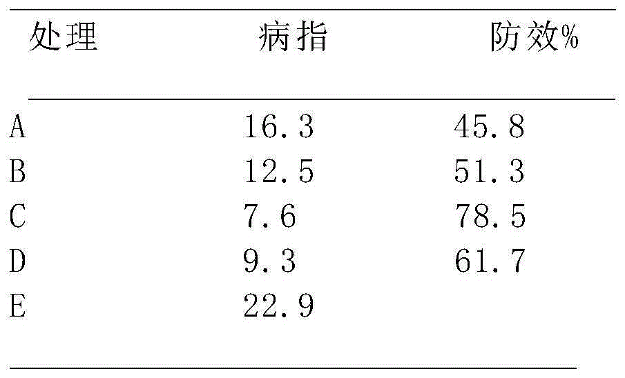 Plant bactericide as well as preparation method and application of plant bactericide