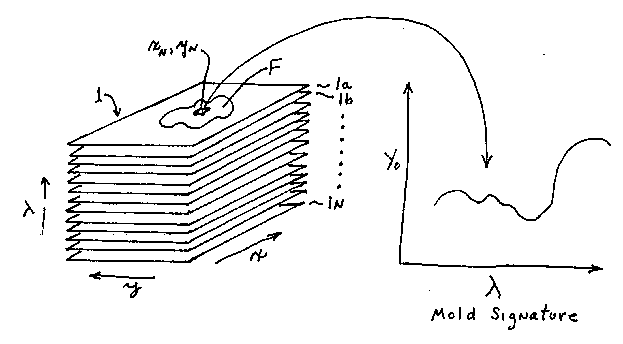 Method and apparatus for non-invasive rapid fungal specie (mold) identification having hyperspectral imagery