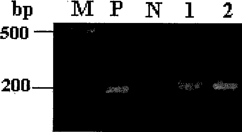 Method for improving secernment efficiency of recombined protein