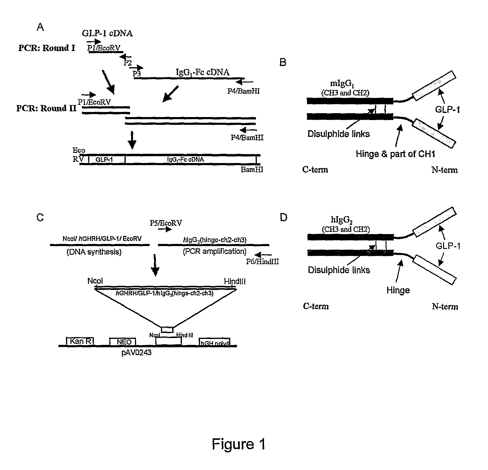 Composition and method for prevention and treatment of type I diabetes