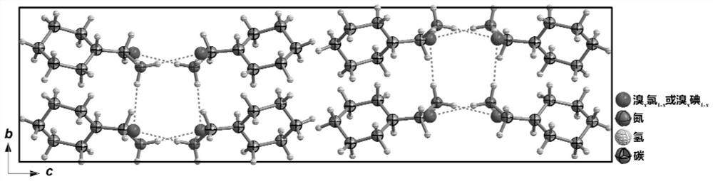 Metal-molecule-free antiferroelectric solid solution as well as preparation method and application thereof