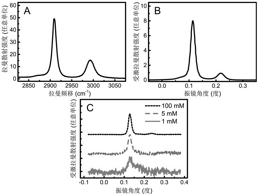 Excited Raman spectrum imaging system based on fast scanning optical path