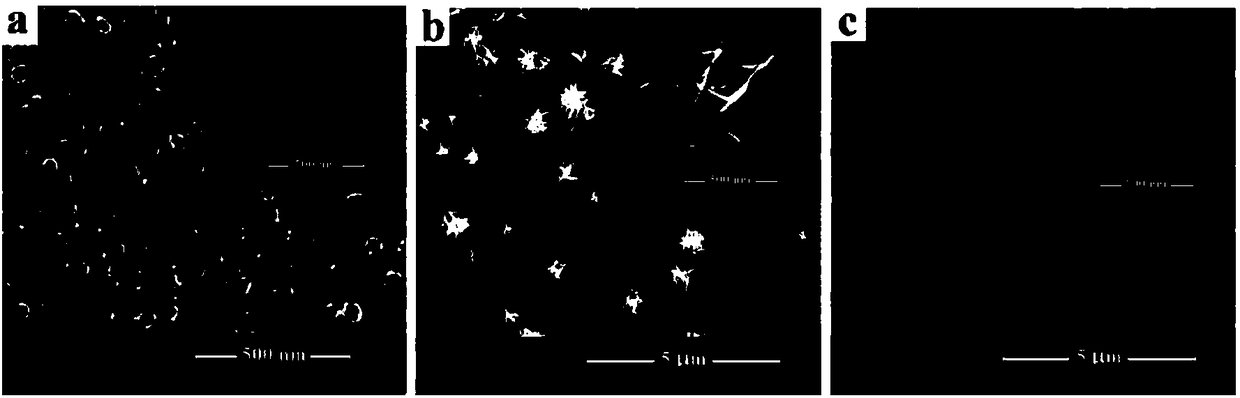 Bi2Se3/TiO2 nano composite film as well as preparation and application thereof