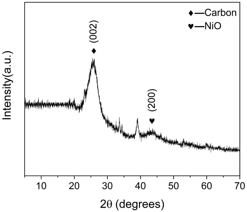 CC-NiO-CuCoS composite material as well as preparation method and application thereof