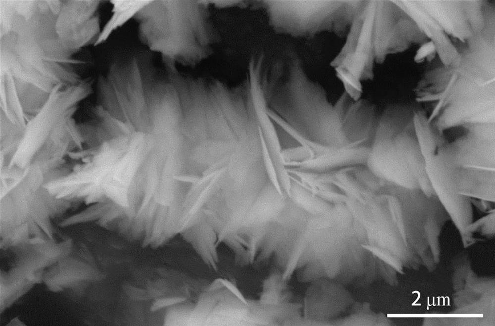 CC-NiO-CuCoS composite material as well as preparation method and application thereof