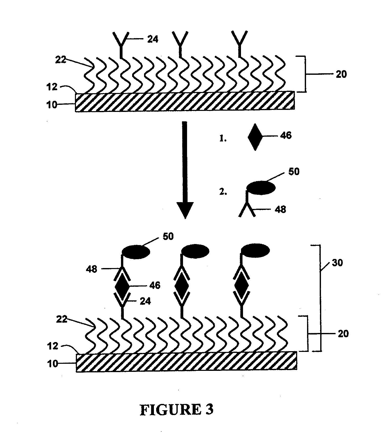 Enzymatic electrochemical detection assay using protective monolayer and device therefor