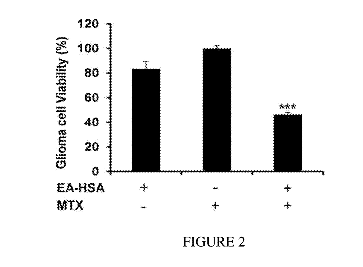 Blood-brain barrier disrupting agents and uses thereof