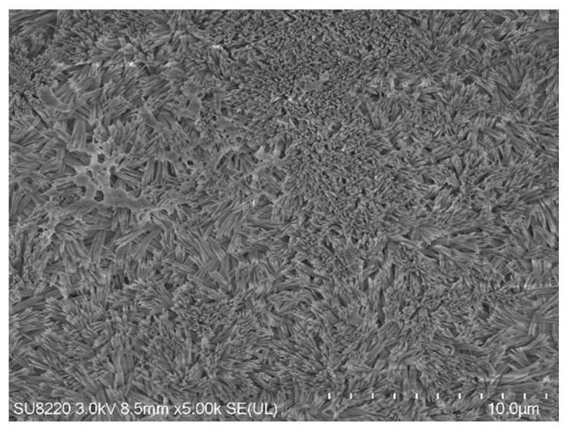 Method for improving surface biological activity and osseointegration performance of polyether-ether-ketone base material