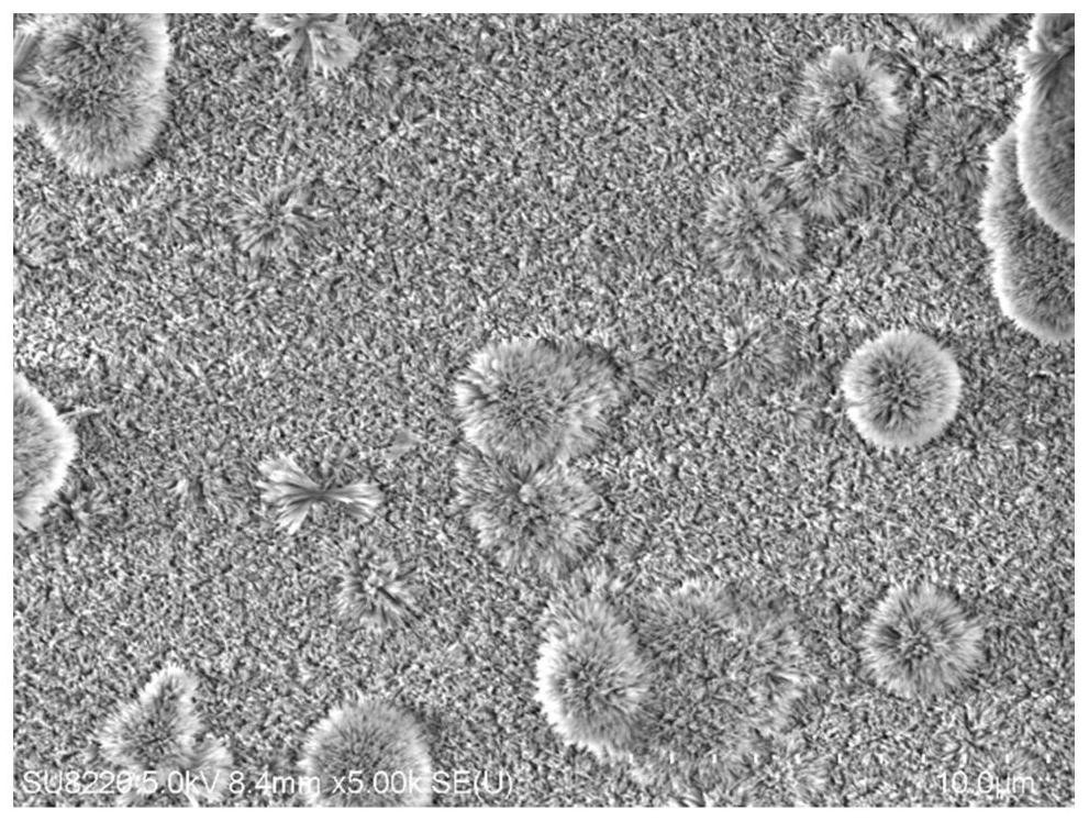 Method for improving surface biological activity and osseointegration performance of polyether-ether-ketone base material