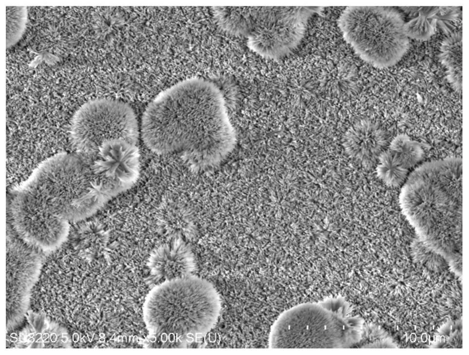 Method for improving surface biological activity and osseointegration performance of polyether-ether-ketone base material