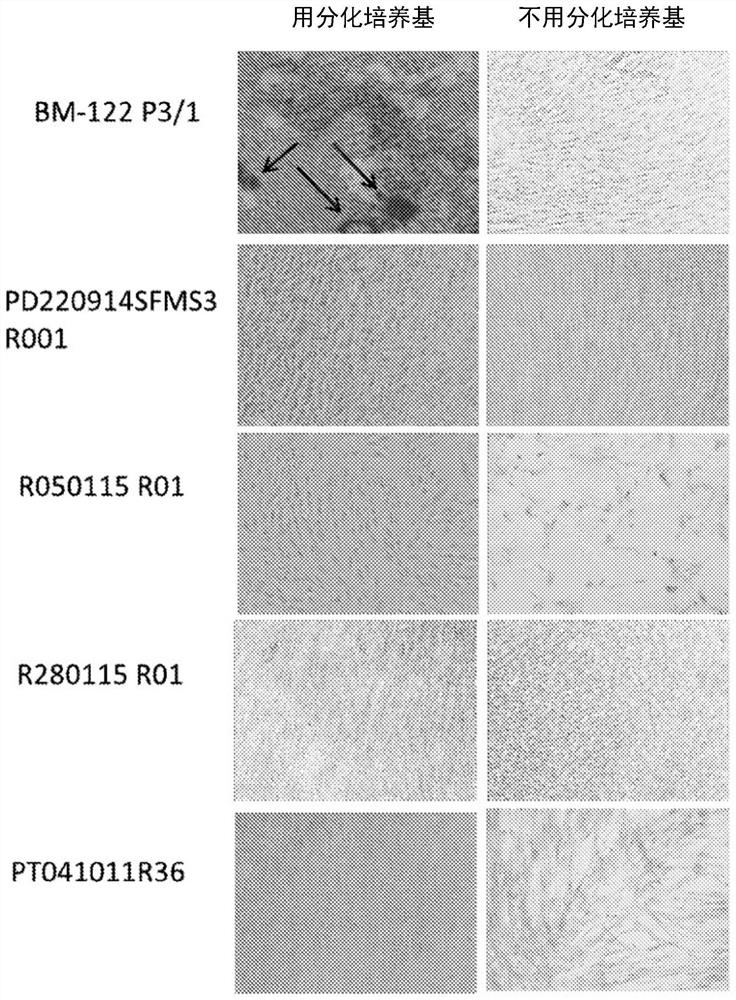 Methods and compositions for cosmetic and cosmetic treatment and stimulation of hair growth