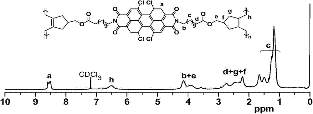 A kind of conjugated polyacetylene containing perylene imide and preparation method thereof