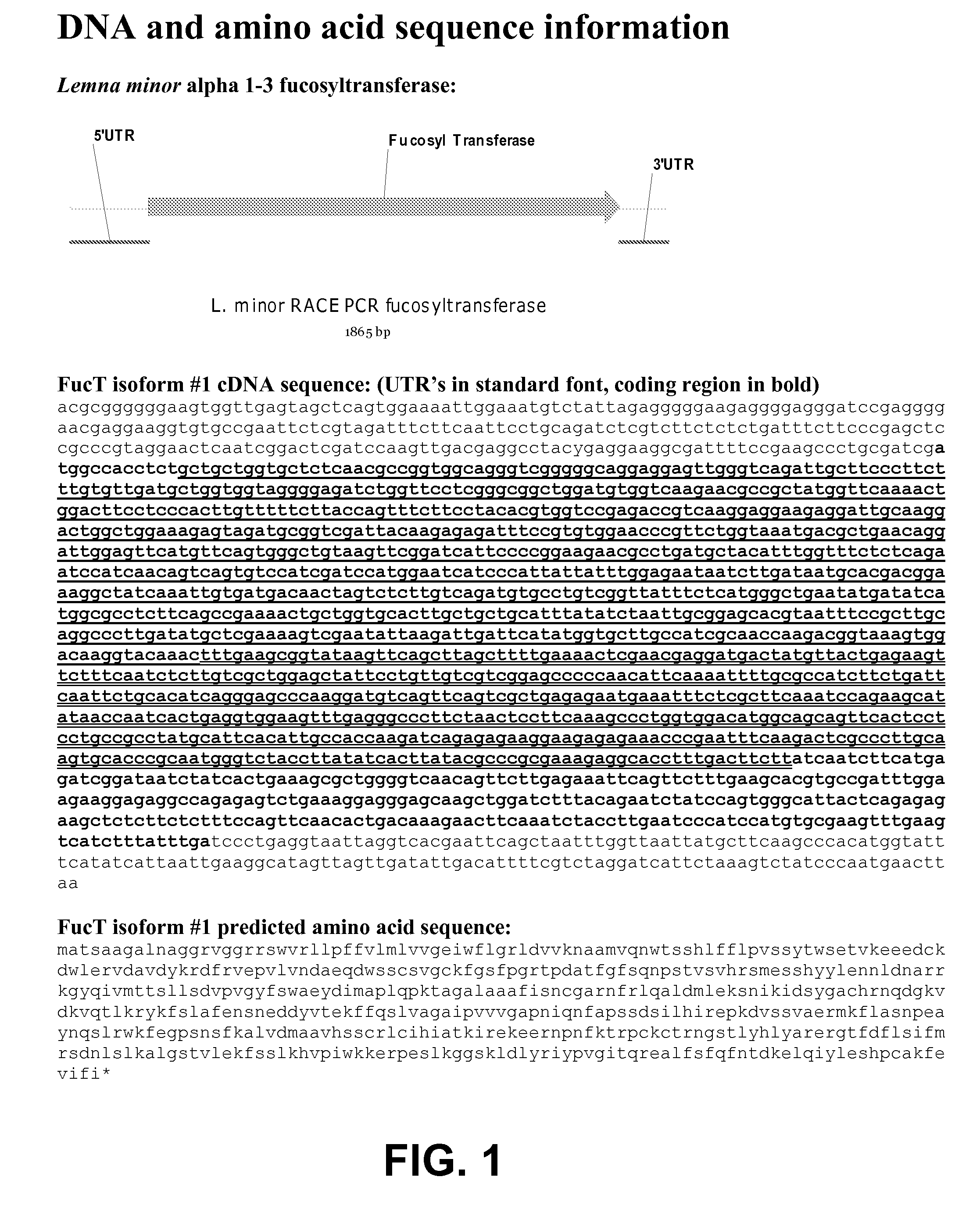 Compositions and methods for humanization and optimization of n-glycans in plants