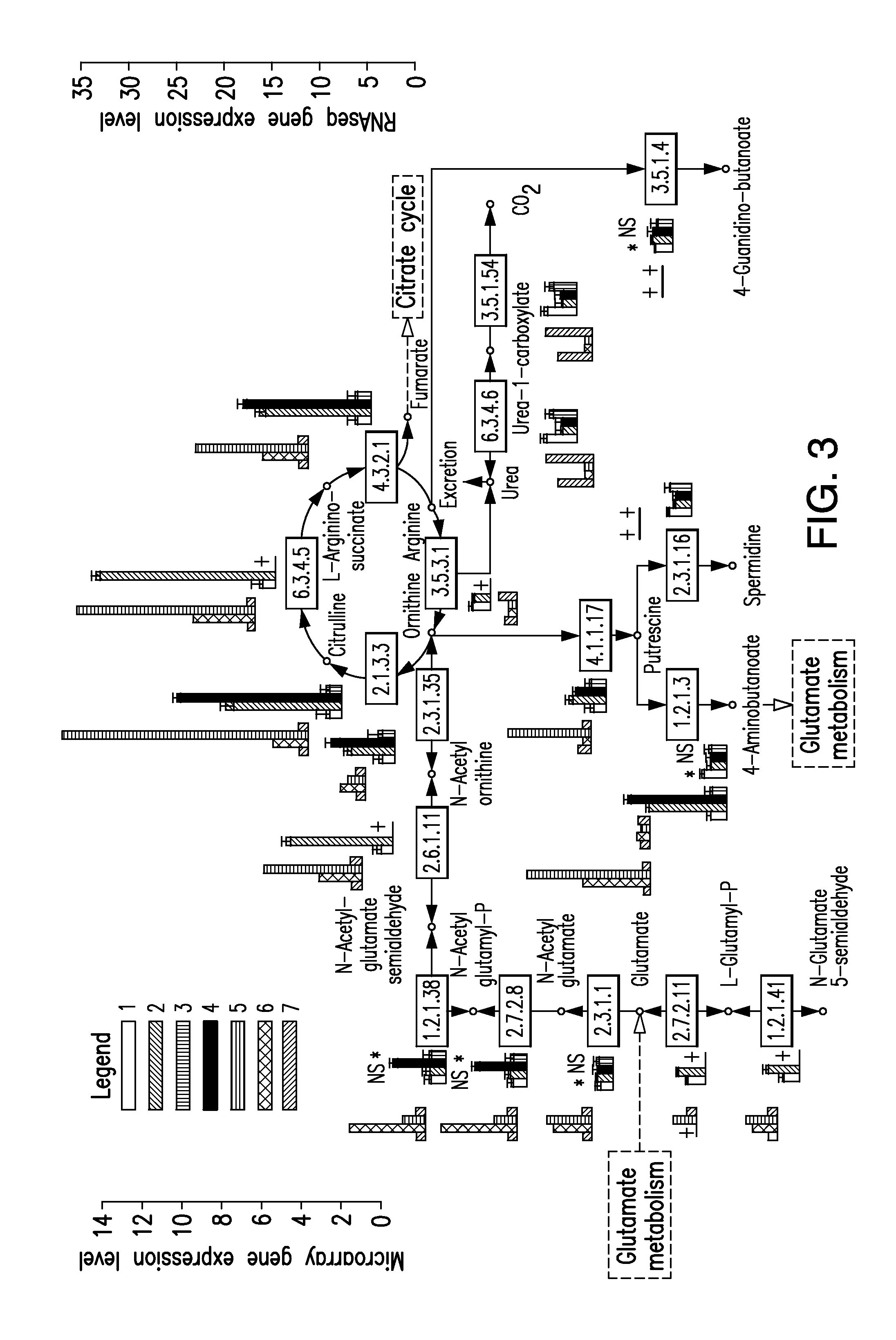 Multi-targeted priming for genome-wide gene expression assays